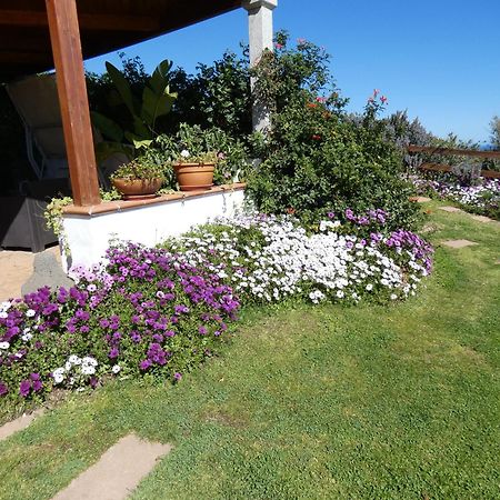 Comino Alto Agriturismo E Appartamenti シニスコーラ エクステリア 写真