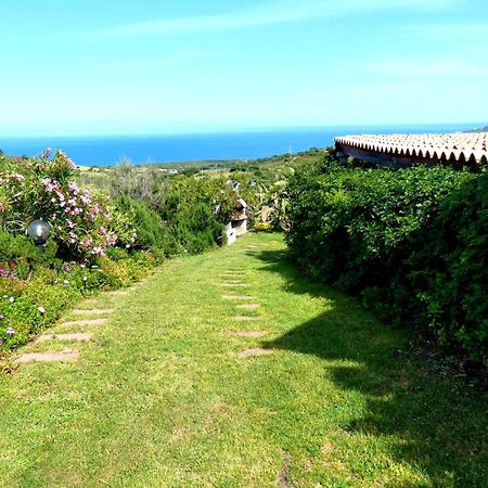 Comino Alto Agriturismo E Appartamenti シニスコーラ エクステリア 写真