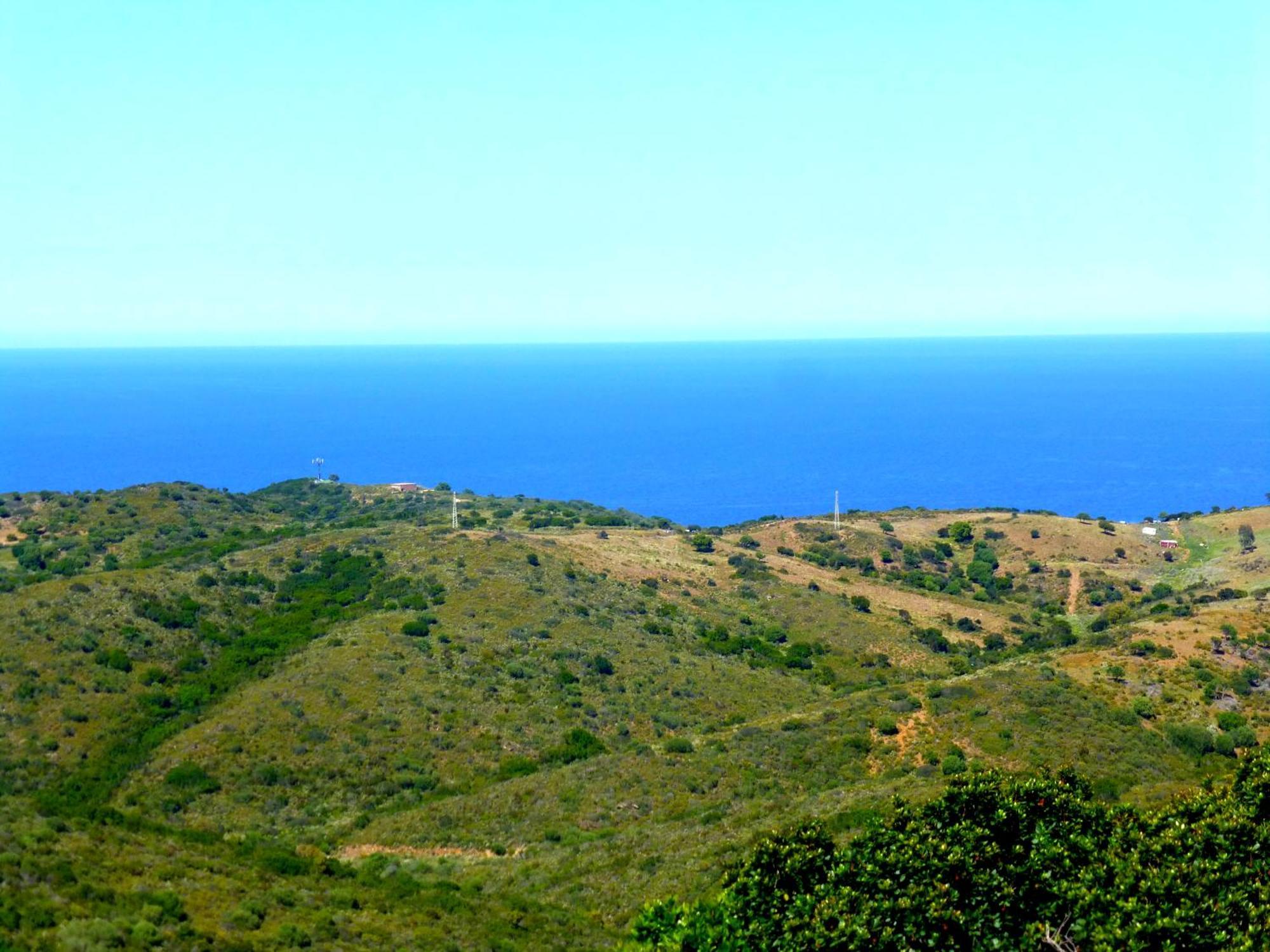 Comino Alto Agriturismo E Appartamenti シニスコーラ エクステリア 写真