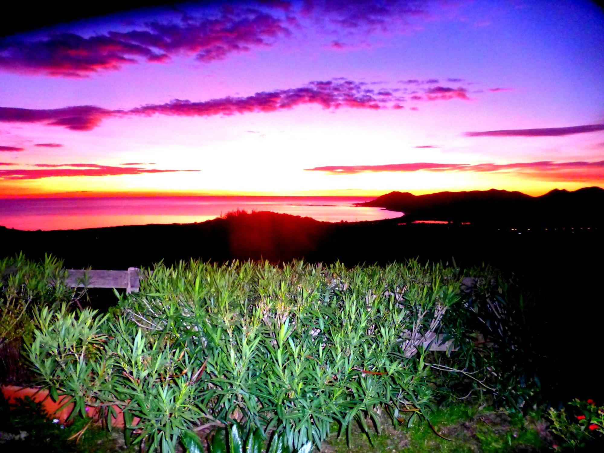 Comino Alto Agriturismo E Appartamenti シニスコーラ エクステリア 写真