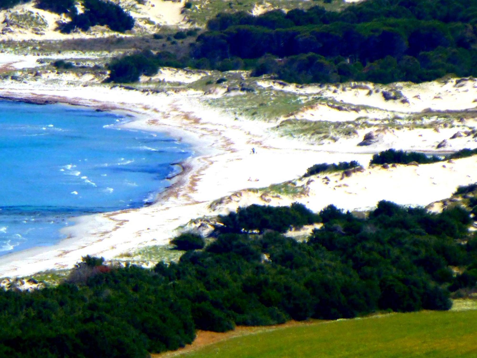 Comino Alto Agriturismo E Appartamenti シニスコーラ エクステリア 写真