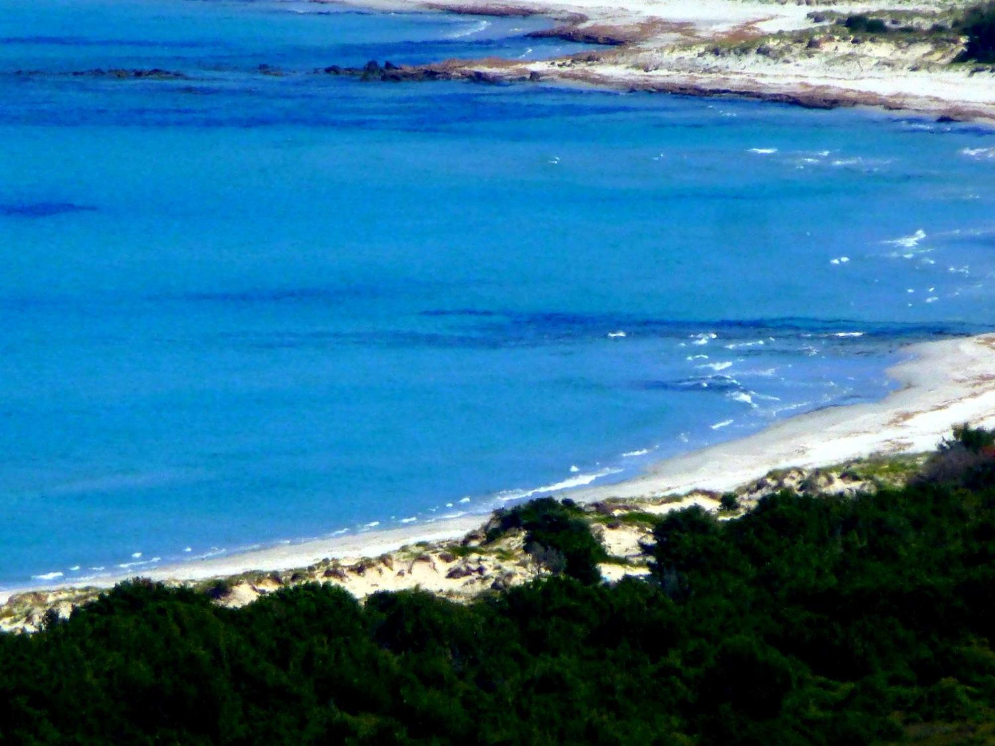 Comino Alto Agriturismo E Appartamenti シニスコーラ エクステリア 写真
