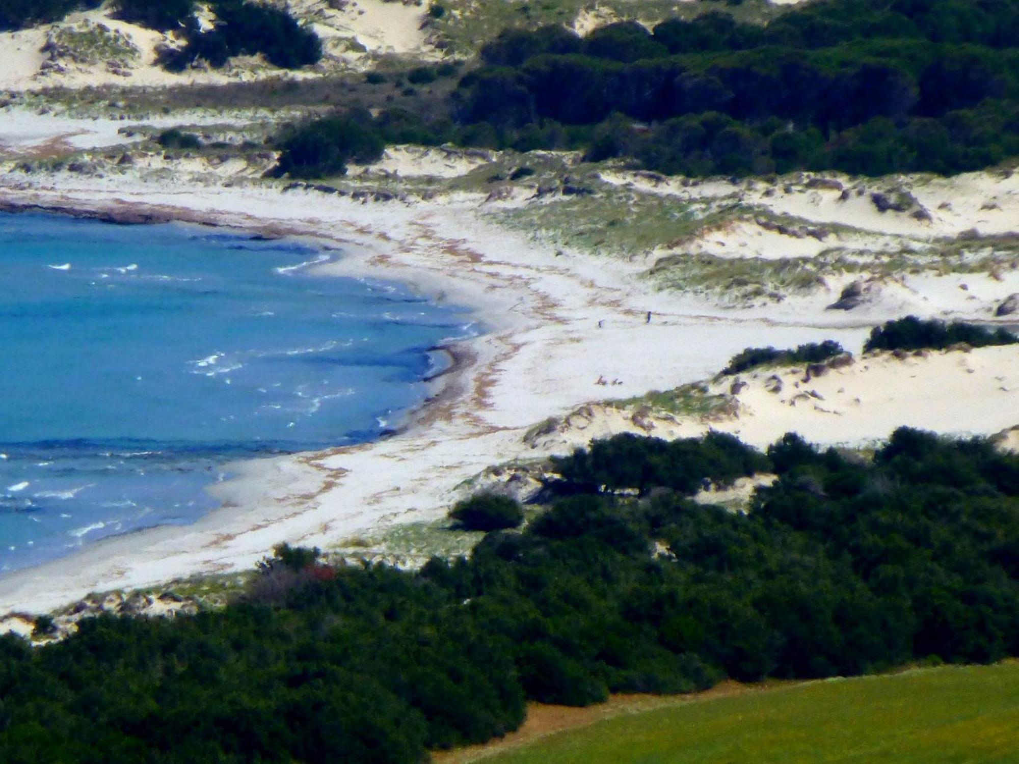 Comino Alto Agriturismo E Appartamenti シニスコーラ エクステリア 写真