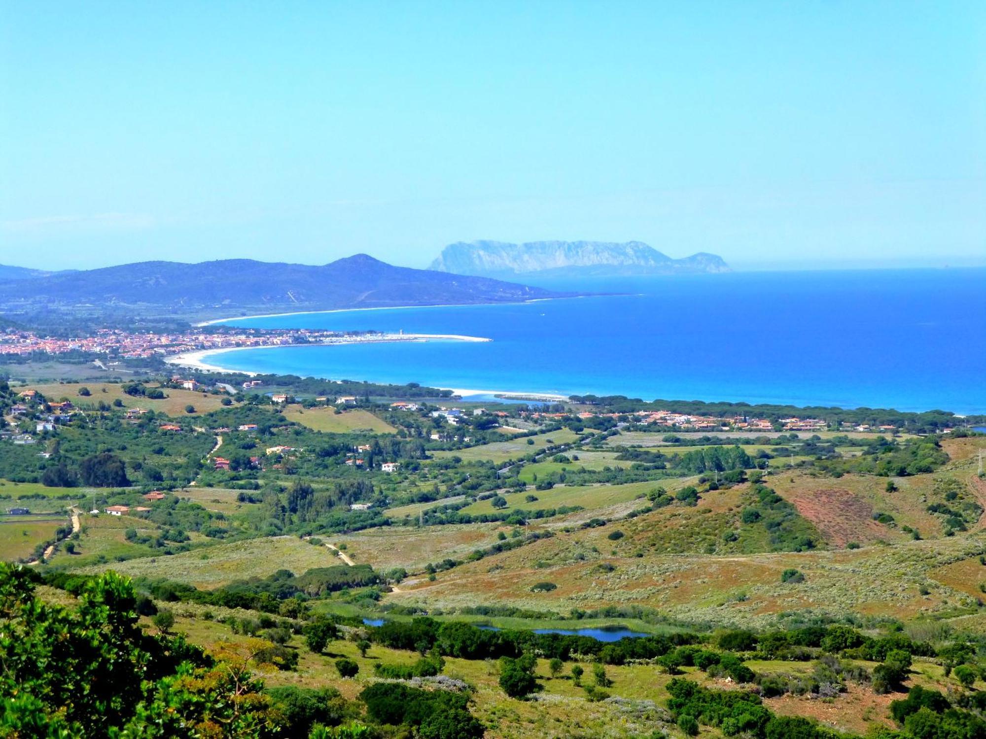 Comino Alto Agriturismo E Appartamenti シニスコーラ エクステリア 写真