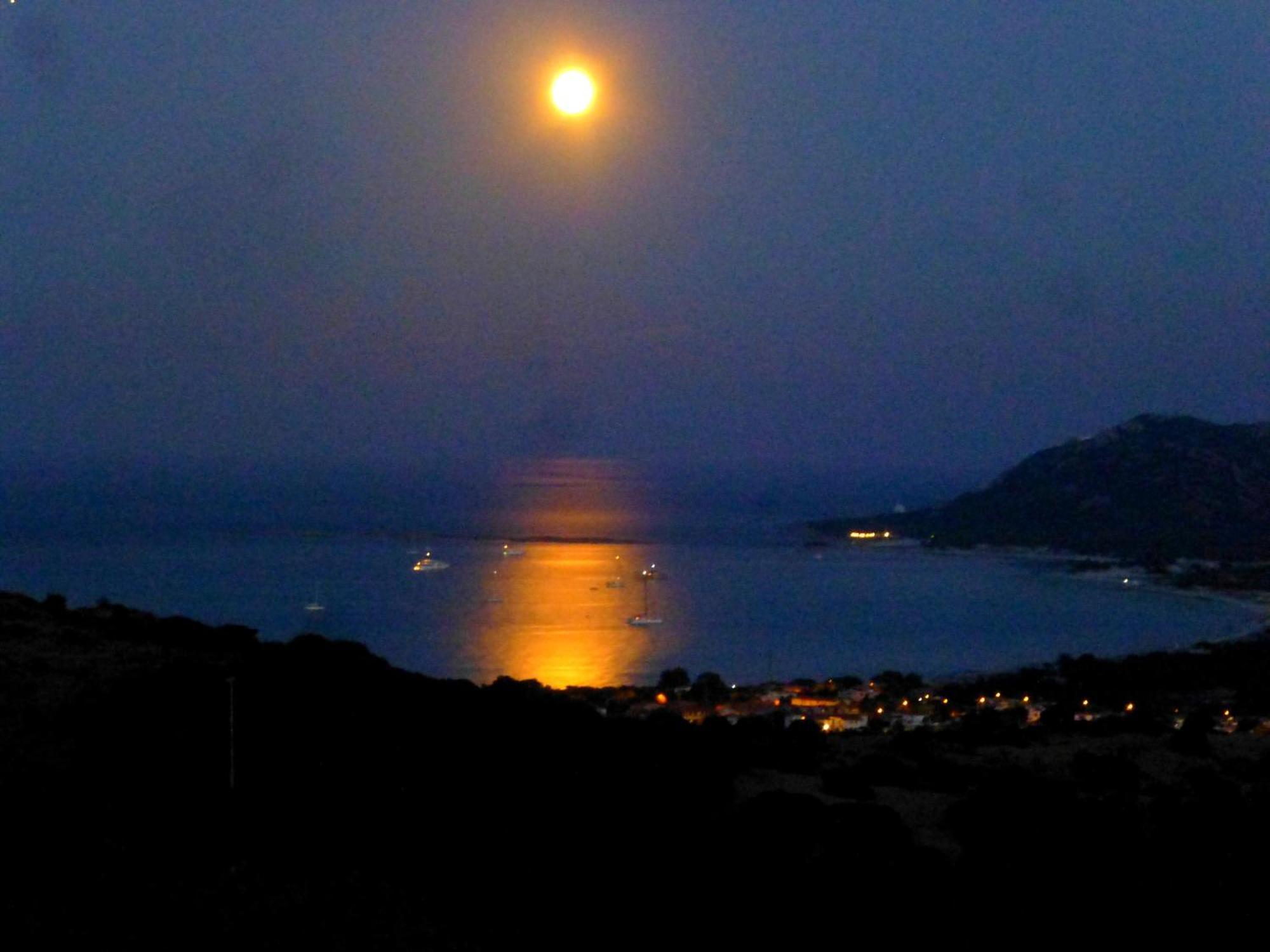 Comino Alto Agriturismo E Appartamenti シニスコーラ エクステリア 写真