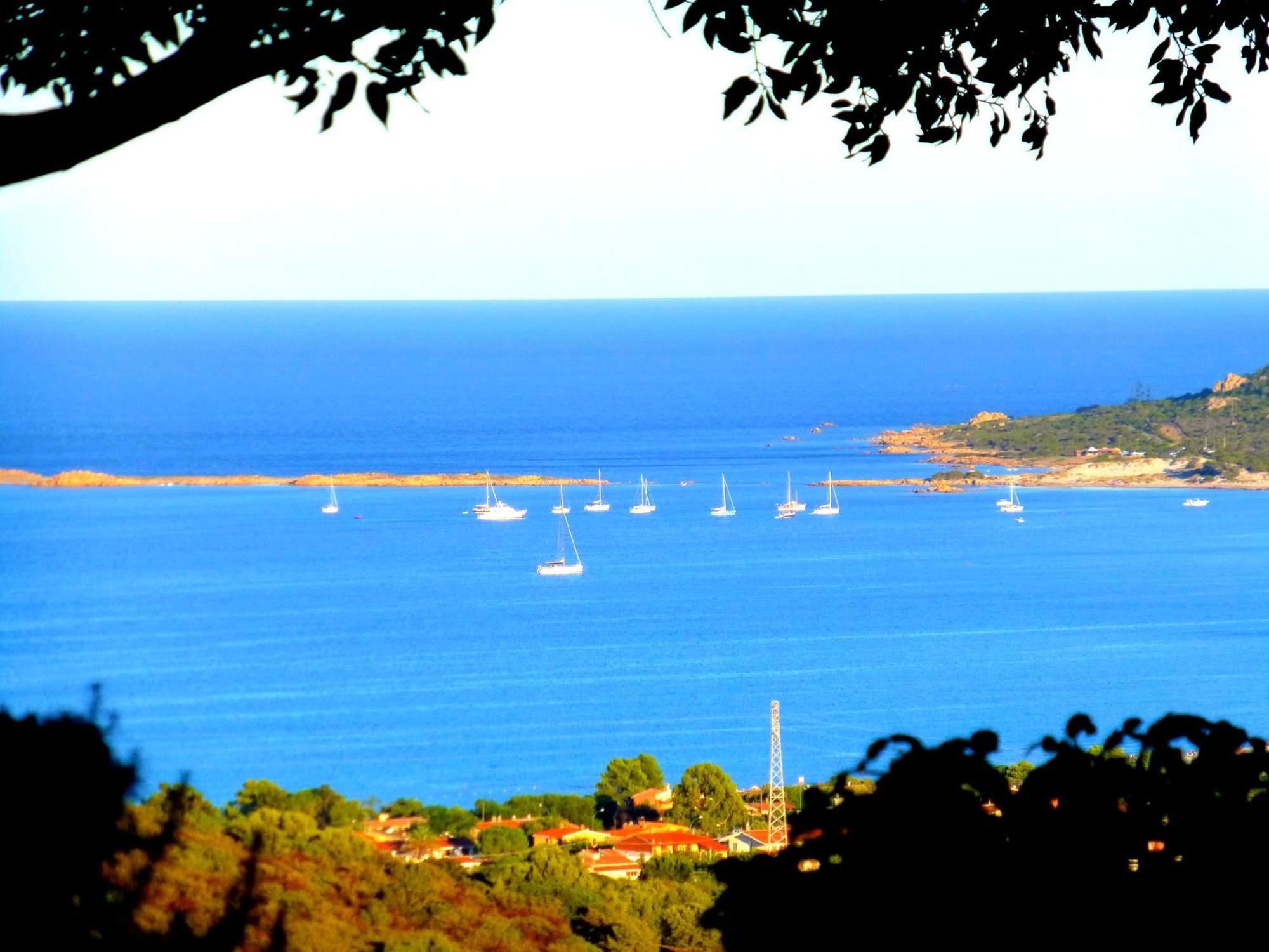Comino Alto Agriturismo E Appartamenti シニスコーラ エクステリア 写真