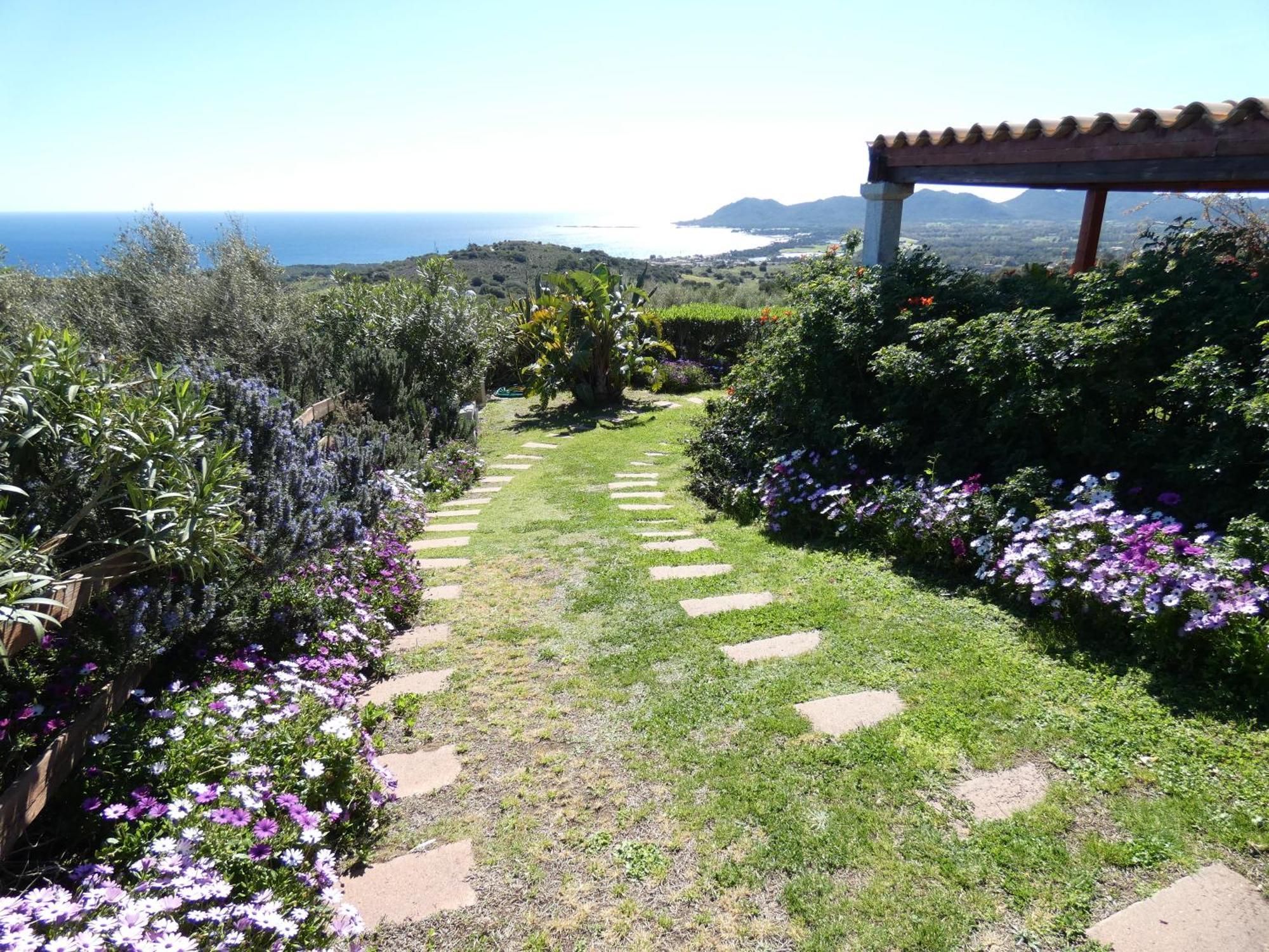 Comino Alto Agriturismo E Appartamenti シニスコーラ エクステリア 写真
