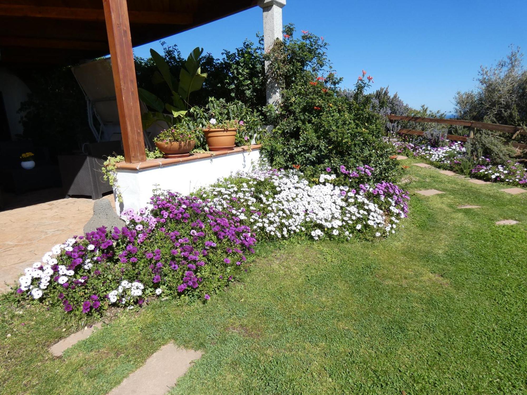Comino Alto Agriturismo E Appartamenti シニスコーラ エクステリア 写真