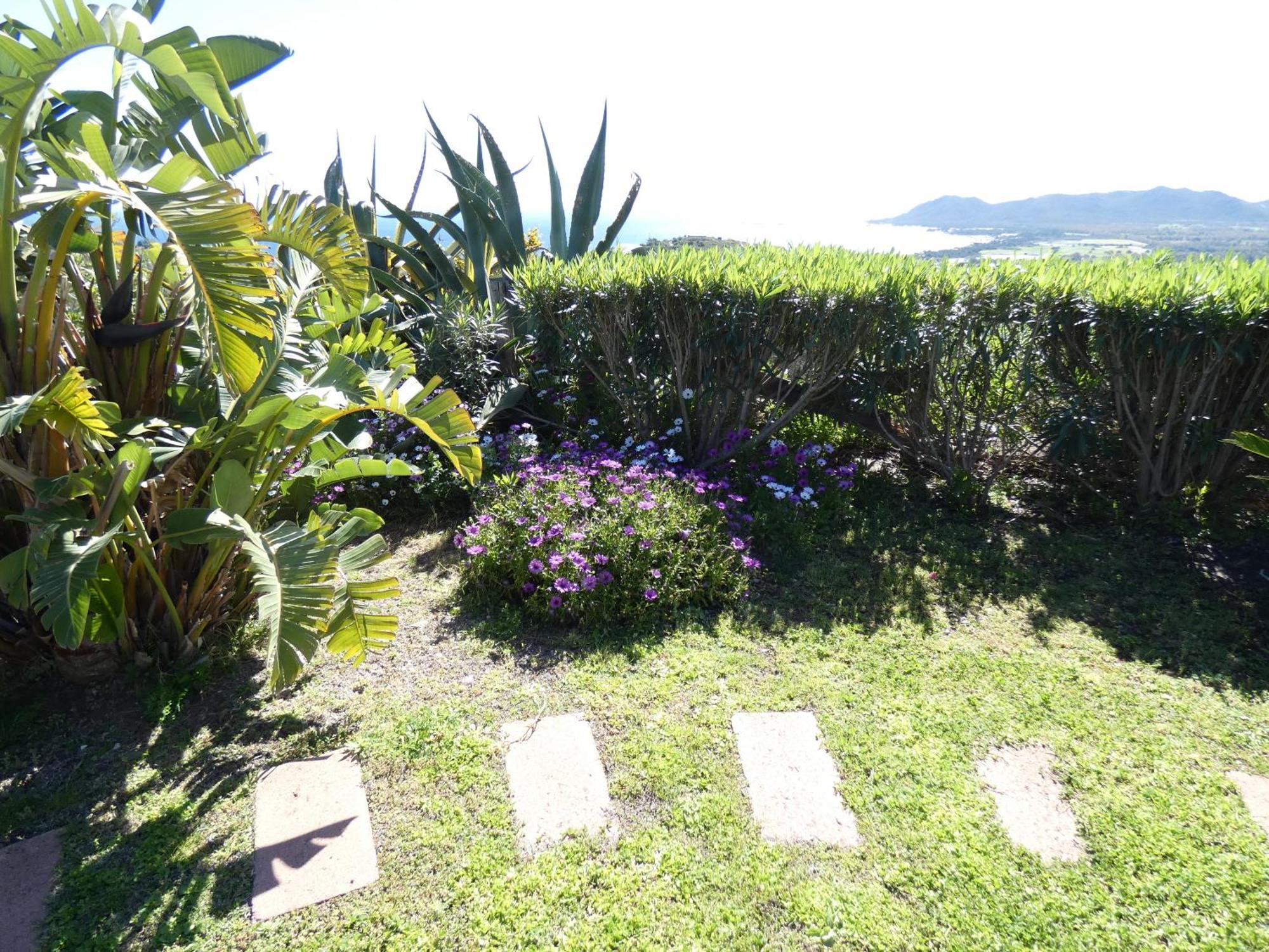 Comino Alto Agriturismo E Appartamenti シニスコーラ エクステリア 写真