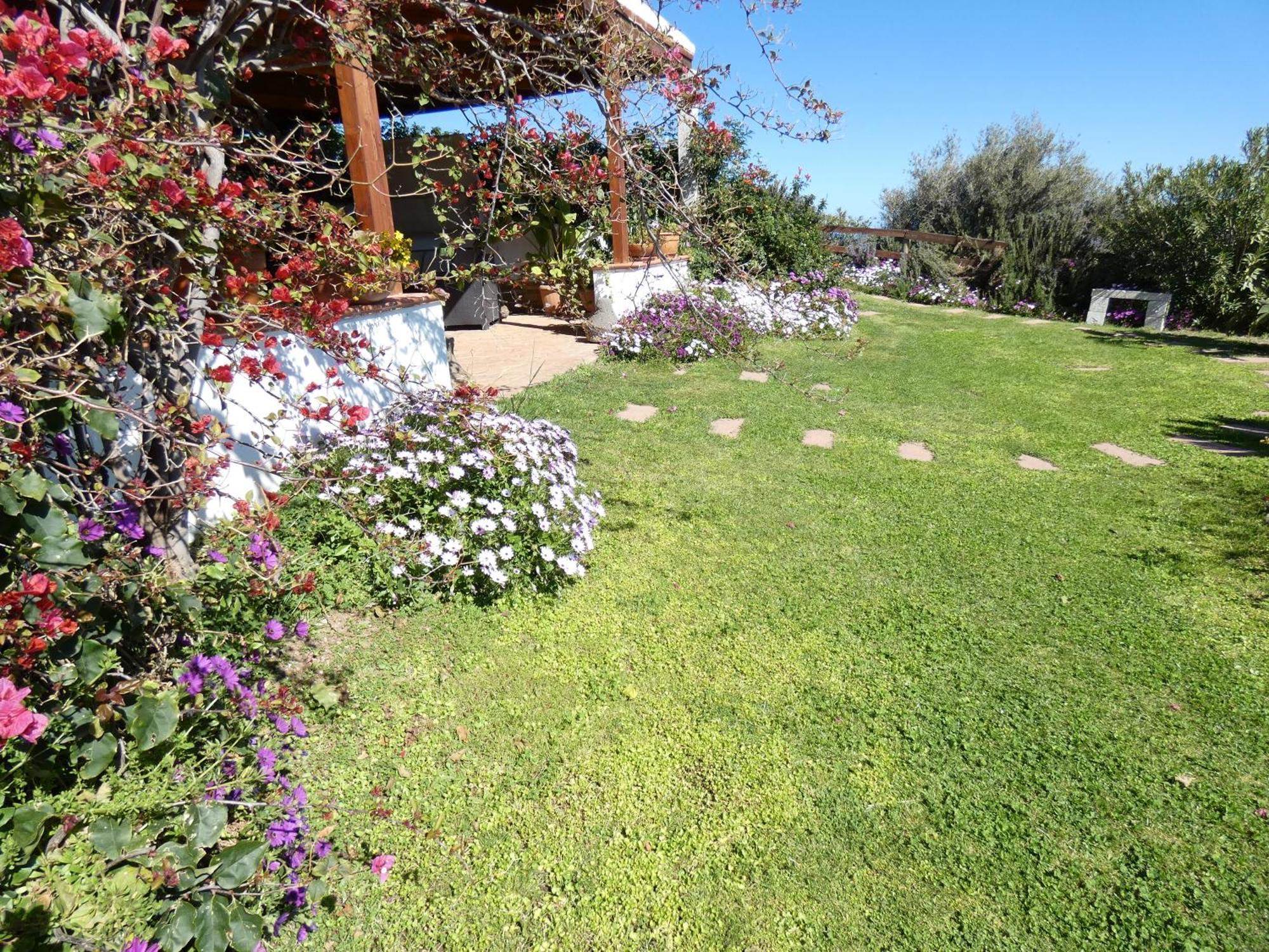 Comino Alto Agriturismo E Appartamenti シニスコーラ エクステリア 写真