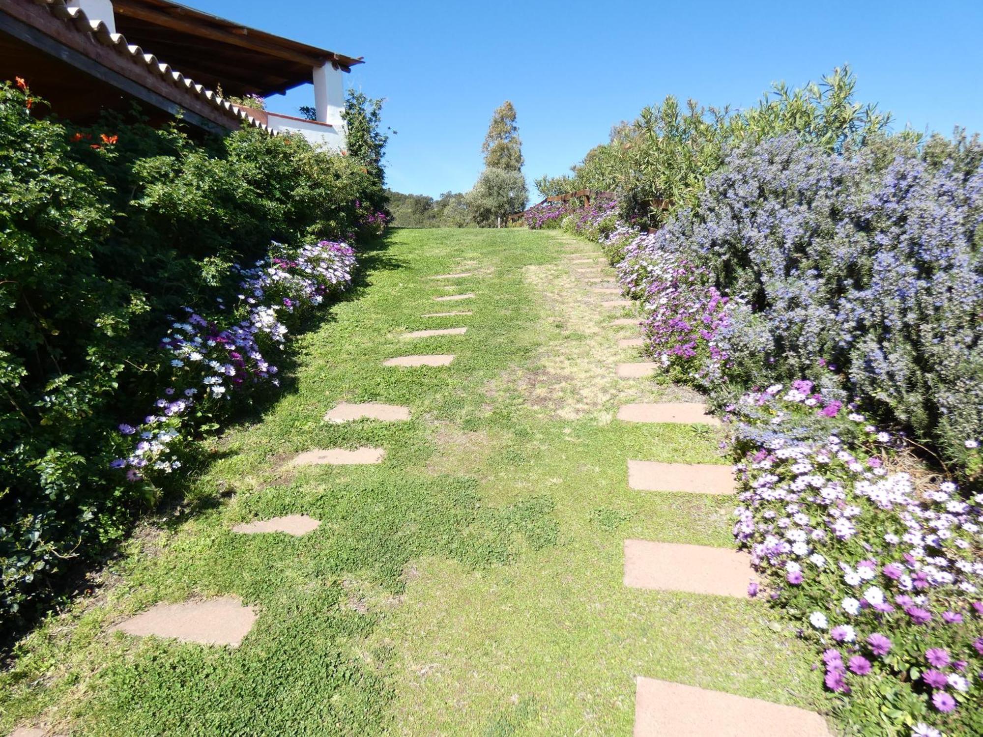Comino Alto Agriturismo E Appartamenti シニスコーラ エクステリア 写真