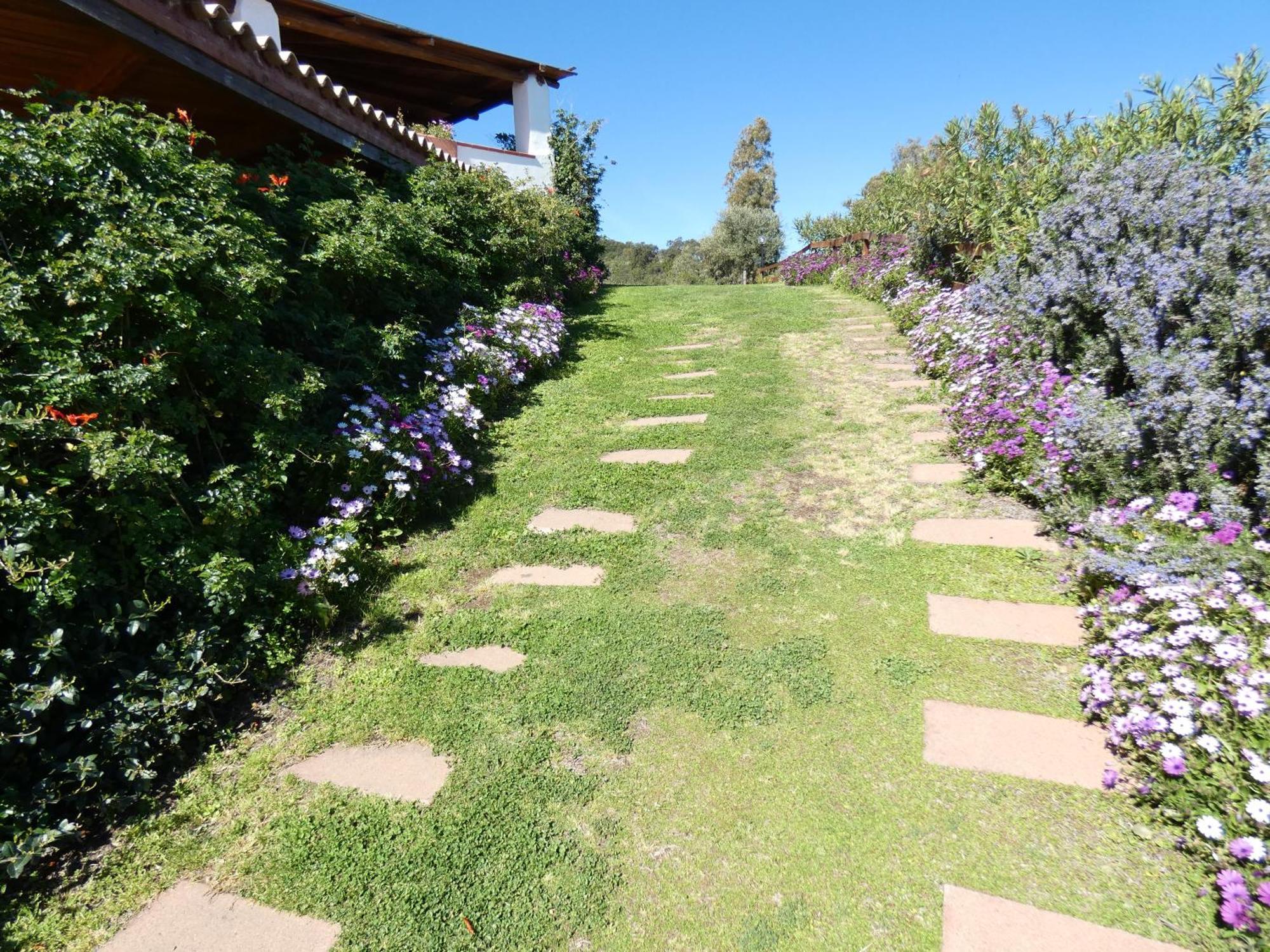 Comino Alto Agriturismo E Appartamenti シニスコーラ エクステリア 写真
