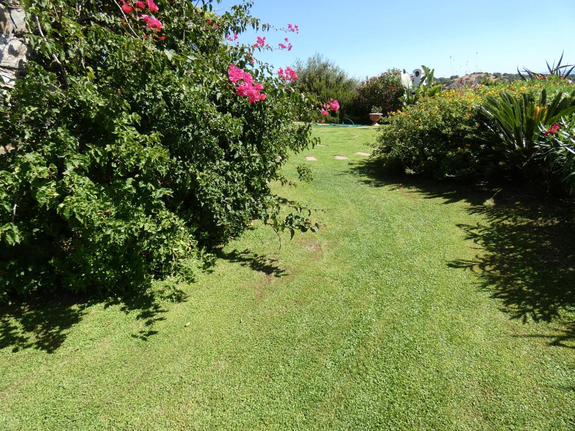 Comino Alto Agriturismo E Appartamenti シニスコーラ エクステリア 写真